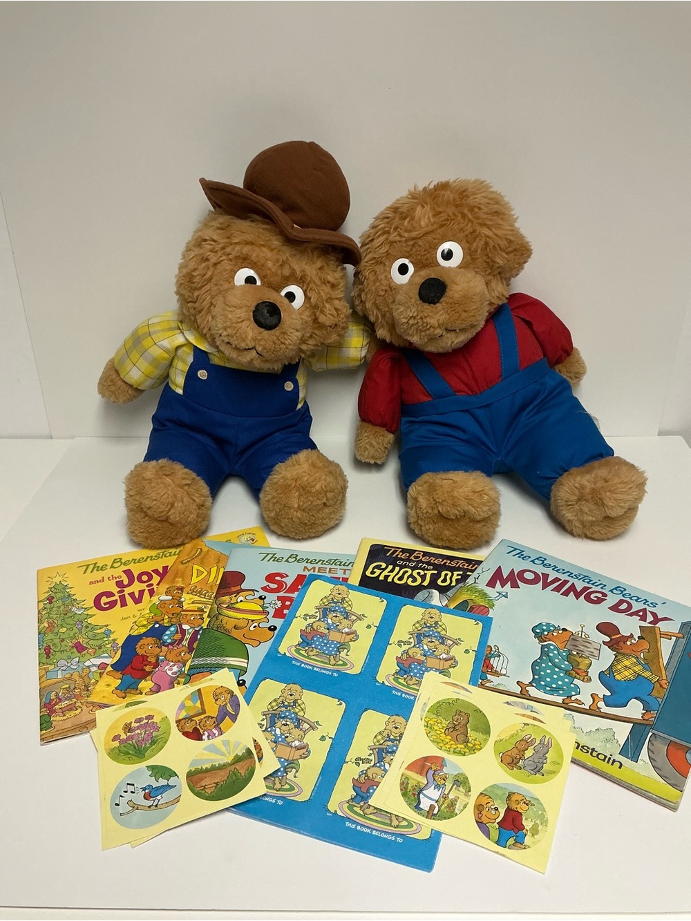 Berenstain Bears Lot- Plush Papa & Brother Bear, Books, Sticjers & Bookplates